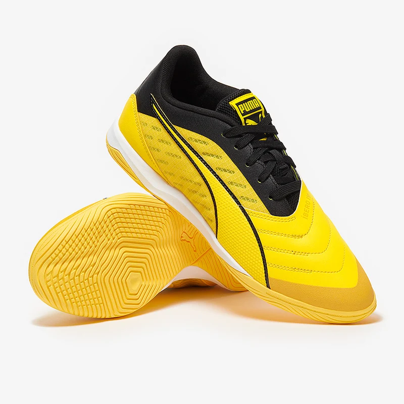 Puma Ibero IV