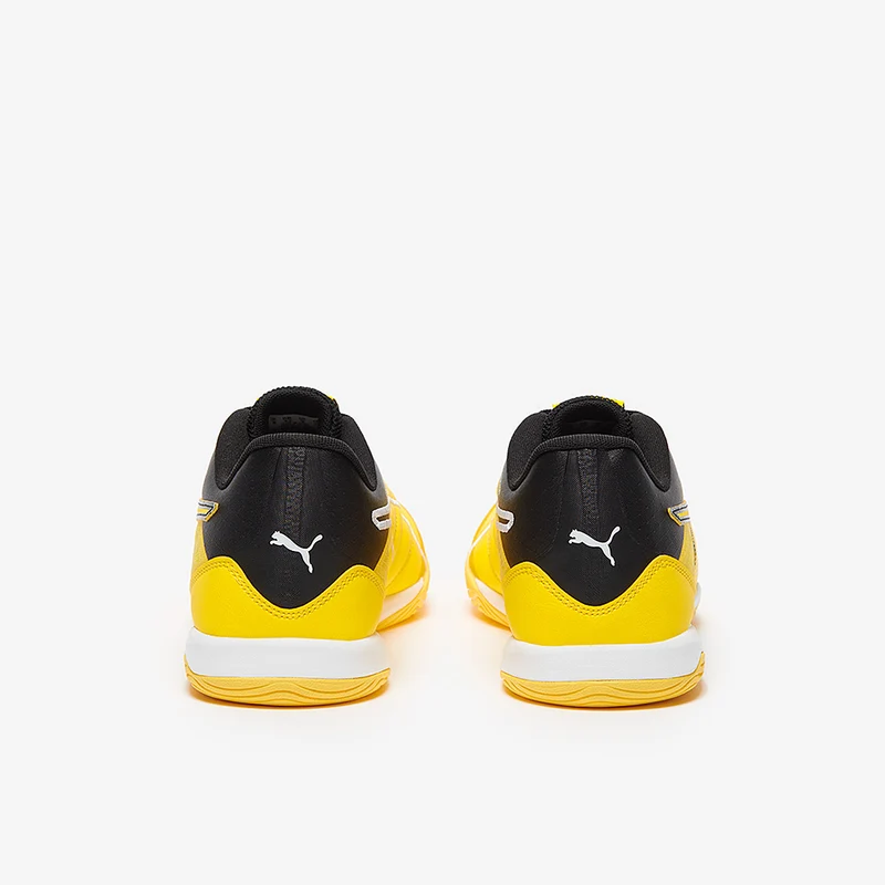 Puma Ibero IV