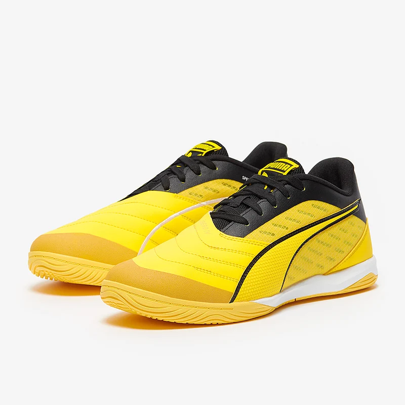Puma Ibero IV