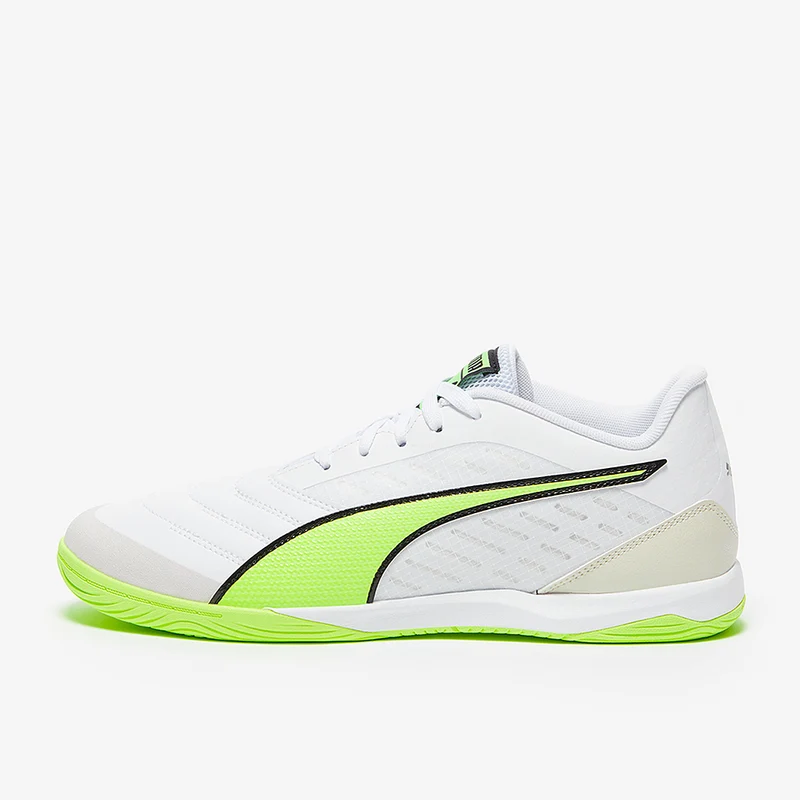 Puma Ibero IV