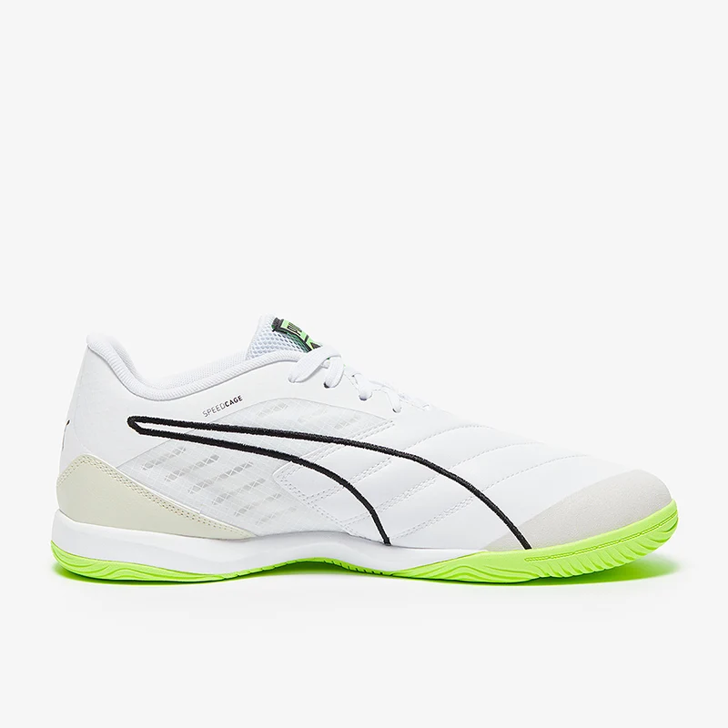 Puma Ibero IV