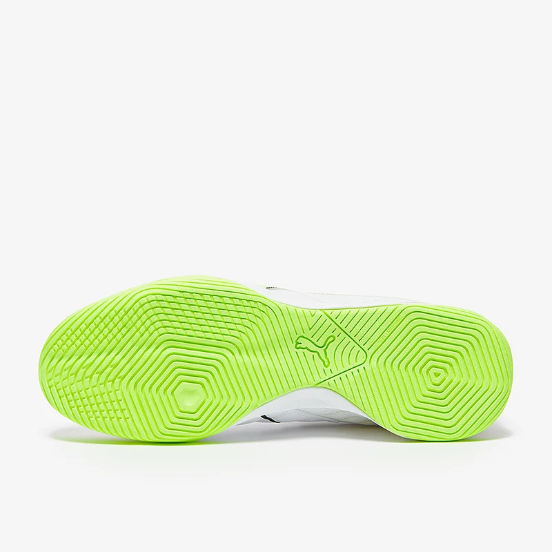 Puma Ibero IV