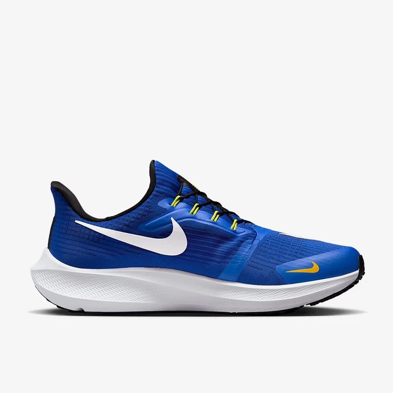 Nike Pegasus FlyEase
