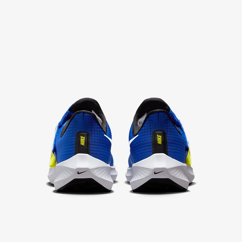 Nike Pegasus FlyEase