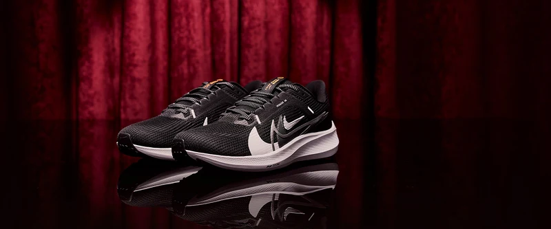 Nike Pegasus 40 Premium - Schwarz/Multi