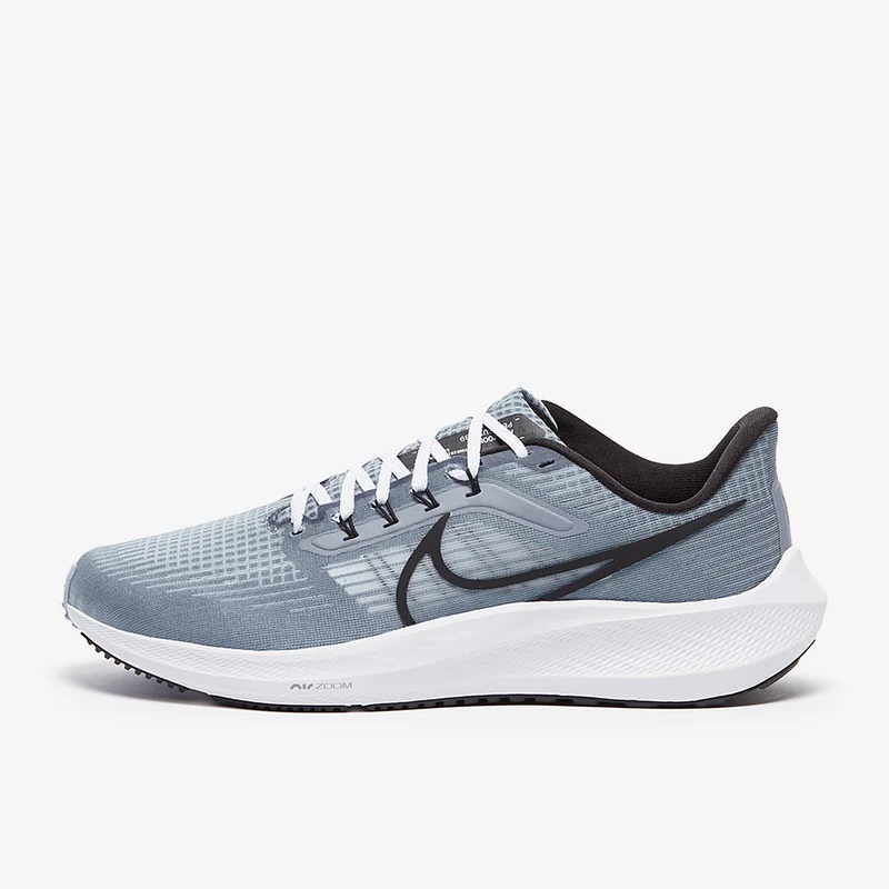 Nike Pegasus 39