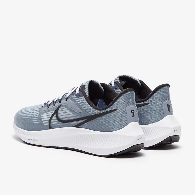 Nike Pegasus 39