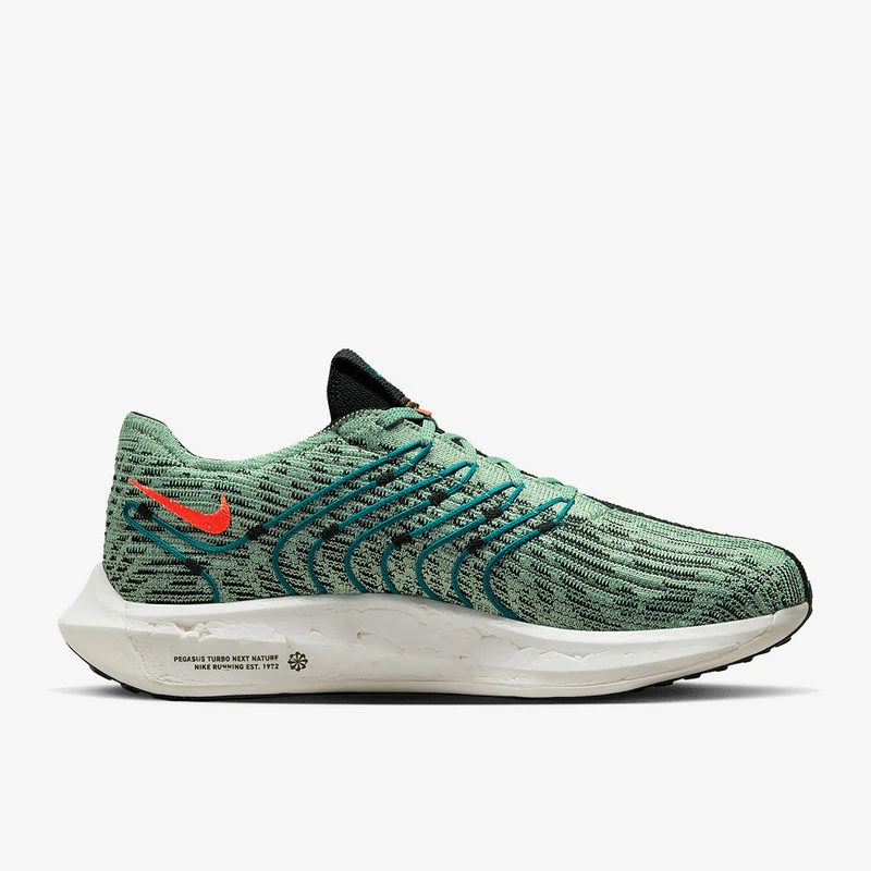 Nike Pegasus Turbo Next Nature