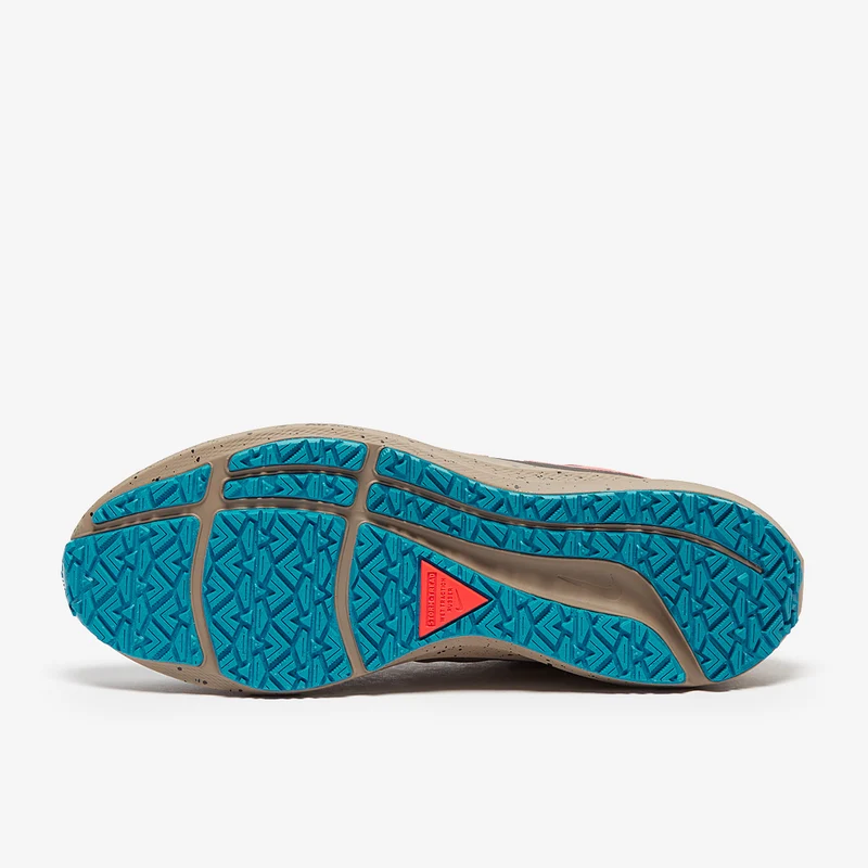 Nike Air Zoom Pegasus 39 Shield