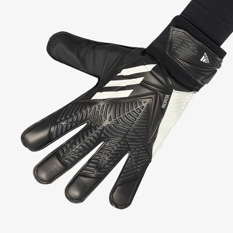 adidas Predator Training