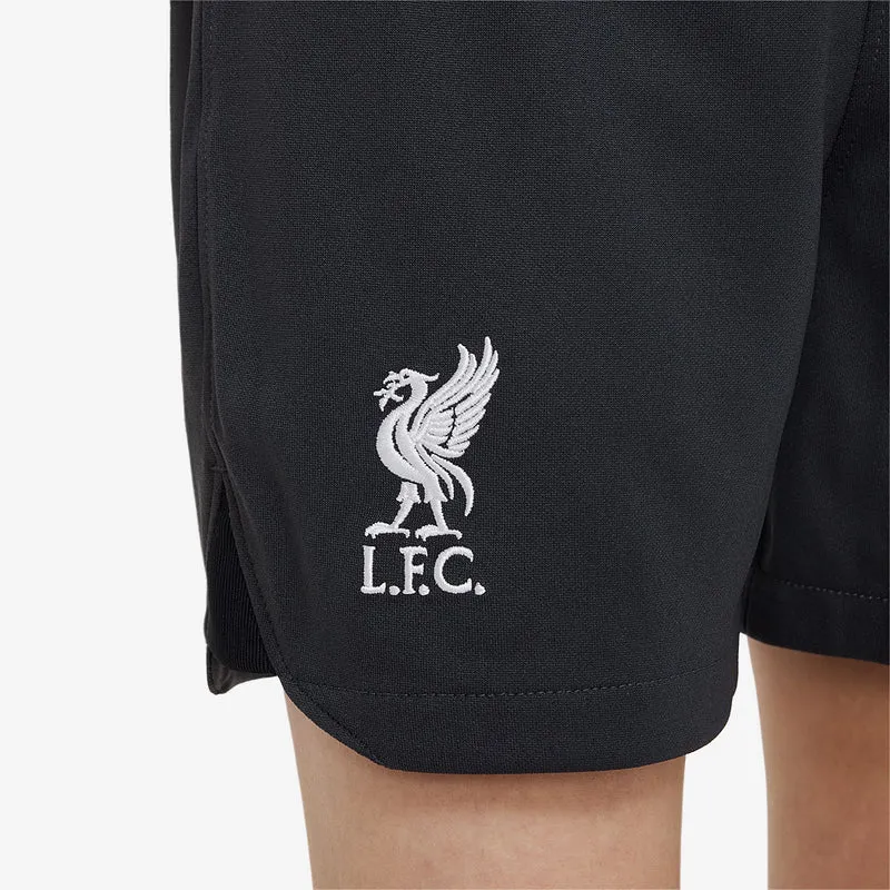 Nike FC Liverpool 22/23 Kleine Kinder Dri-Fit Torwartset